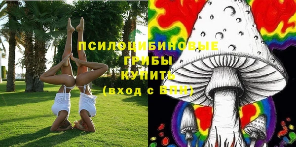 первитин Нея