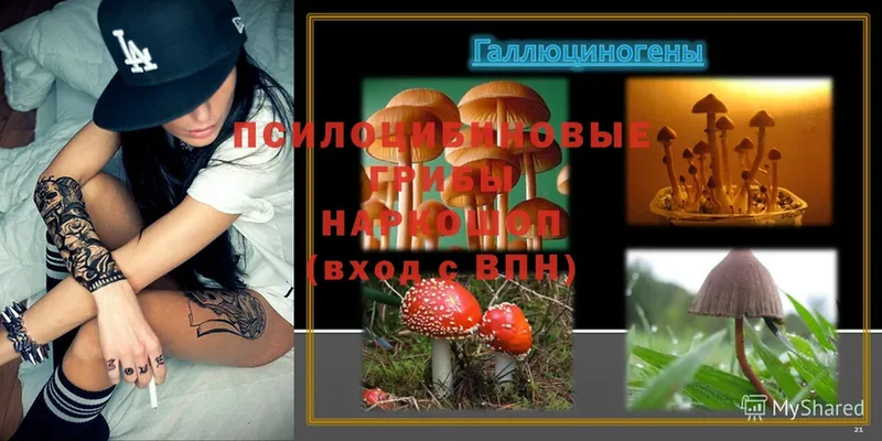 Галлюциногенные грибы Magic Shrooms Печора