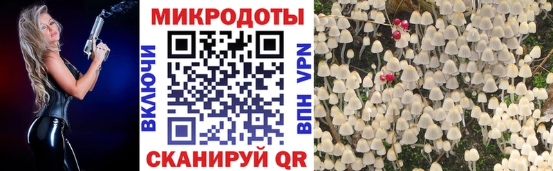 Галлюциногенные грибы Magic Shrooms как найти закладки Печора