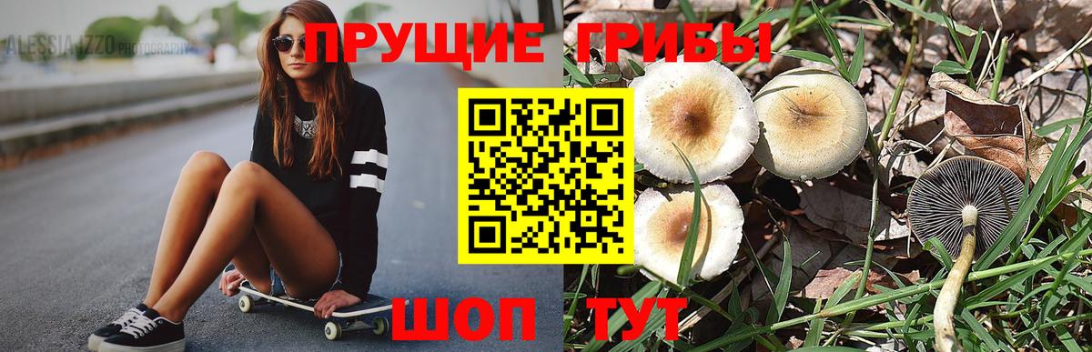 Псилоцибиновые грибы ЛСД Печора