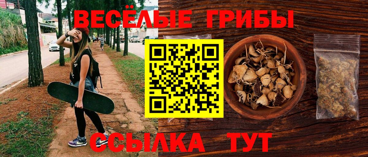 Галлюциногенные грибы Magic Shrooms  Вход с VPN  Печора 